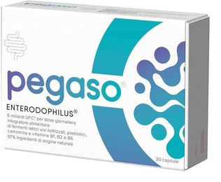 Dr. Willmar Schwabe Pegaso Enterodophilus Kapseln glutenfrei und laktosefrei 30 Stück – Bild 1 von 1