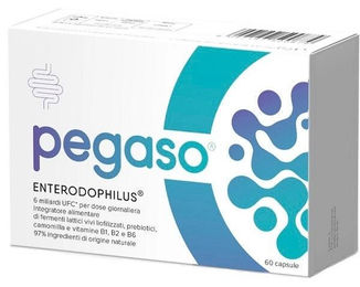 Dr. Willmar Schwabe Pegaso Enterophilus 60 Kapseln – Bild 1 von 1