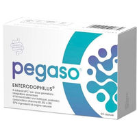 Produktbild von Dr. Willmar Schwabe Pegaso Enterophilus 60 Kapseln