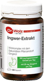 Dr. Wolz Ingwer Extrakt Kapseln 120 Stück – Bild 1 von 3