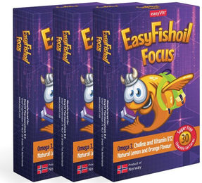 EasyFishoil Q Omega 3 Gummis mit Cholin für Kinder und Erwachsene – Bild 1 von 2