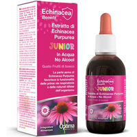 Produktbild von ECHINACEABENEFIT Echinacea Junior Extrakt Tropfen vegan und zuckerfrei