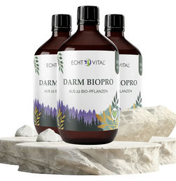 Echt Vital Darm Biopro Fermentgetränk mit Kräuter-Komplex bio und zuckerfrei flüssig – Bild 1 von 1