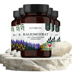 ECHT VITAL GmbH Kaliumcitrat Kapseln vegan – Bild 1 von 1
