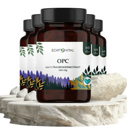 ECHT VITAL GmbH OPC Kapseln 400 mg vegan – Bild 1 von 1