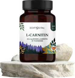 ECHT VITAL L-Carnitin Kapseln vegan aus pflanzlicher Fermentation – Bild 1 von 1