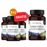 Produktbild von ECHT VITAL Leber Vital mit 9 Pflanzenstoffen und Cholin Kapseln vegan