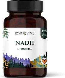 Echt Vital Liposomales NADH Kapseln vegan – Bild 1 von 1