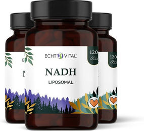 Echt Vital Liposomales NADH Vegan Kapseln 360 Stück – Bild 1 von 1