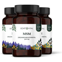 Produktbild von Echt Vital MSM Kapseln 360 Stück