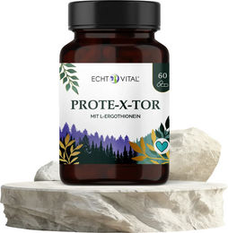 Echt Vital Prote-X-tor Kapseln mit L-Ergothionein, Resveratrol und NADH vegan – Bild 1 von 2
