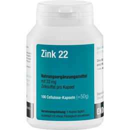 Endima Zink Kapseln 100 Stück – Bild 1 von 1