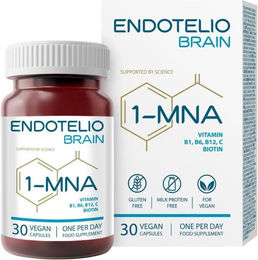 Endotelio 1-MNA Brain Kapseln mit NAD+, Ginkgo Biloba, Zink und Vitaminen, vegan und glutenfrei, 30 Kapseln – Bild 1 von 7