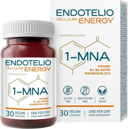 Endotelio 1-MNA CELLULAR ENERGY Kapseln vegan glutenfrei ohne Zusatzstoffe – Bild 1 von 4