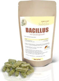 ERASVITAL Bacillus Subtilis DSM 21097 mit Gerstengrassaft Vegan Glutenfrei Zuckerfrei 90 Kapseln für Erwachsene – Bild 1 von 2