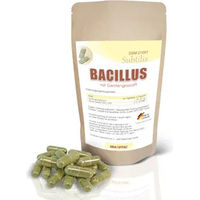 Produktbild von ERASVITAL Bacillus Subtilis DSM 21097 mit Gerstengrassaft Vegan Glutenfrei Zuckerfrei 90 Kapseln für Erwachsene