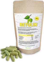 ERASVITAL Birkenrinden-Extrakt Liposomal mit Betulin, Moringa Oleifera, Phosphatidylcholin, Fulvinsäure und Bacillus Subtilis, 360 Kapseln, Vegan, Glutenfrei, Laktosefrei – Bild 1 von 1