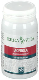 Erba Vita Acerola Kapseln vegan 550 mg 60 Stück – Bild 1 von 1