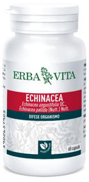 ERBA VITA Echinacea Kapseln vegan glutenfrei laktosefrei 60 Stück – Bild 1 von 1