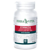 Produktbild von ERBA VITA Echinacea Kapseln vegan glutenfrei laktosefrei 60 Stück