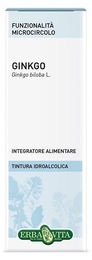 Erba Vita Ginkgo Biloba Tropfen wässrig-alkoholisches Extrakt 50 ml – Bild 1 von 1