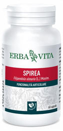 Erba Vita Spirea Kapseln vegan glutenfrei laktosefrei 60 Stück – Bild 1 von 1