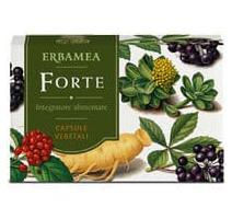 ERBAMEA FORTE Kapseln glutenfrei 24 Stück – Bild 1 von 1