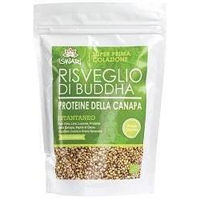 Produktbild von Erbavoglio Risveglio Di Buddha Hanfprotein Pulver Bio glutenfrei neutral 360 g
