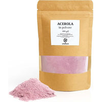 Produktbild von ERBOTECH Acerola Pulver Bio Vegan ohne Zusatzstoffe