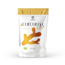ERBOTECH Bio Kurkuma Pulver vegan und ohne Zusatzstoffe – Bild 1 von 4