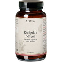 Produktbild von Erdling BIO Kraftpilze Athena Vitalpilz Synergetikum Kräuter-Komplex Kapseln vegan