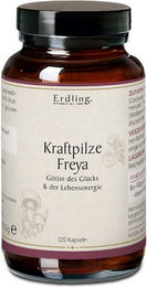Erdling Kraftpilze Freya Vitalpilz Synergetikum Kräuter-Komplex Bio Kapseln 120 Stück – Bild 1 von 1