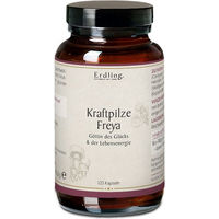 Produktbild von Erdling Kraftpilze Freya Vitalpilz Synergetikum Kräuter-Komplex Bio Kapseln 120 Stück
