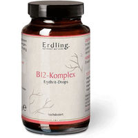 Produktbild von Erdling Vitamin B12-Komplex Lutschtabletten Mango Vegan ohne Zusatzstoffe 50 Stück