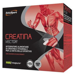 EthicSport Creatin Vector Monohydrat Sticks glutenfrei und laktosefrei 20 Stück – Bild 1 von 1