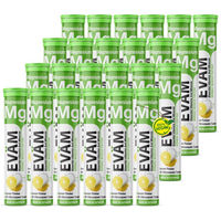 Produktbild von EVÄM Magnesium Brausetabletten 480 mg zuckerfrei, glutenfrei und laktosefrei, 24 Stück