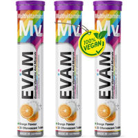 Produktbild von EVÄM Multivitamin Plus Brausetabletten für Erwachsene vegan zuckerfrei glutenfrei laktosefrei 60 Stück