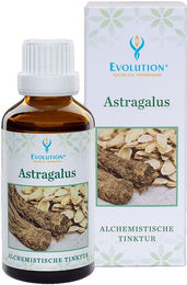Evolution Astragalus Tinktur flüssig 1000 ml – Bild 1 von 1