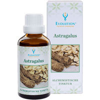 Produktbild von Evolution Astragalus Tinktur flüssig 1000 ml