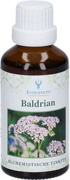EVOLUTION Bio Baldrian Tropfen – Bild 1 von 2