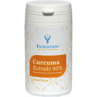 Produktbild von Evolution Curcuma Extrakt 95 Prozent Kapseln 60 Stück