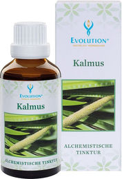 Evolution Kalmus Tinktur flüssig – Bild 1 von 1