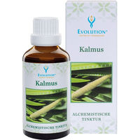 Produktbild von Evolution Kalmus Tinktur flüssig