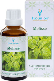 Evolution Melisse Tinktur 1000 ml – Bild 1 von 1
