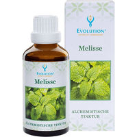 Produktbild von Evolution Melisse Tinktur 1000 ml