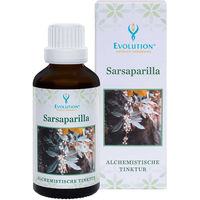 Produktbild von Evolution Sarsaparilla Tinktur 1000 ml