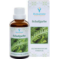 Produktbild von Evolution Schafgarbe Tinktur flüssig