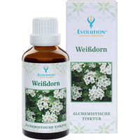 Produktbild von Evolution Weißdorn Tinktur flüssig 1000 ml
