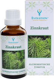 Evolution Zinnkraut Tinktur mit Kieselerde in flüssiger Form – Bild 1 von 1
