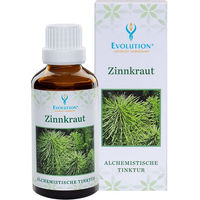 Produktbild von Evolution Zinnkraut Tinktur mit Kieselerde in flüssiger Form